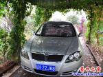 葡萄架下的“簡(jiǎn)易車庫(kù)”