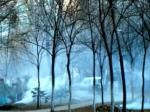 露天焚燒垃圾應(yīng)遠(yuǎn)離公共場(chǎng)所