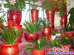 蓋州：龍年春來(lái)早，綠意蘊(yùn)生機(jī)