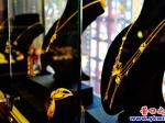 家里囤金子因?yàn)槔⒌?/></a></dt>
          <a href=