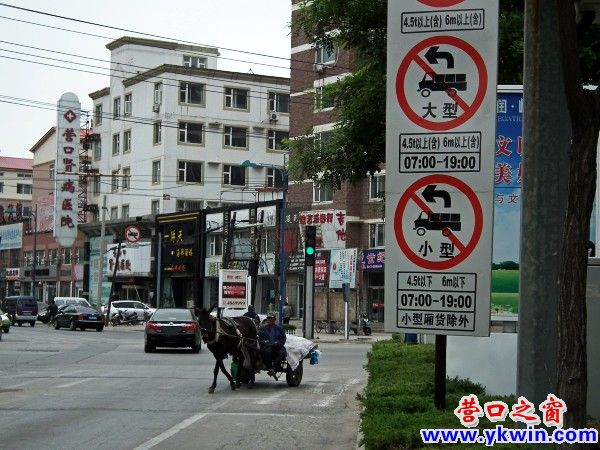 ‘小騾哥’獨闖市府路