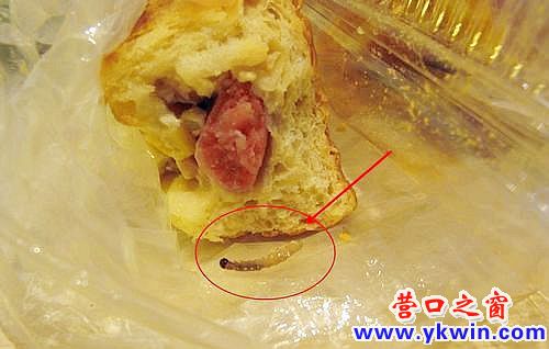 營(yíng)口一蛋糕店面包夾玉米蟲(chóng)