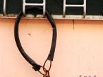 防護(hù)欄鎖車，防盜意識(shí)強(qiáng)