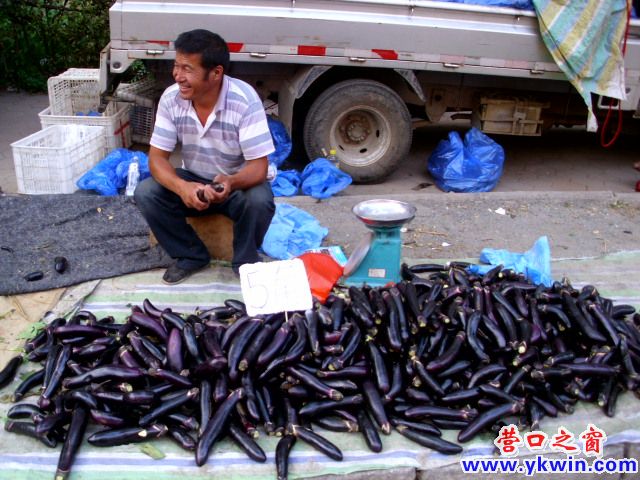 茄子，一元一斤二斤三斤