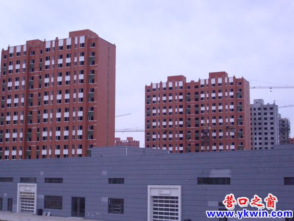 營(yíng)口市：這片爛尾樓何時(shí)才能住人