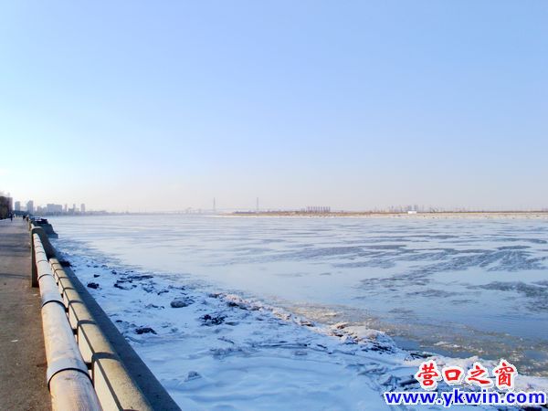 三九嚴寒沒有凍住大遼河