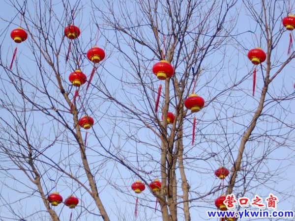 燈籠上樹迎新春 猴年更比羊年好