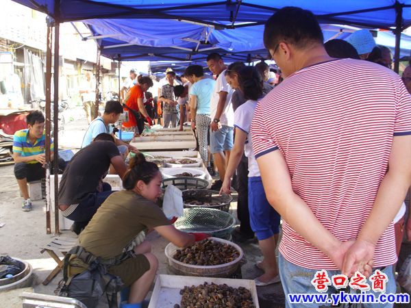休漁期，營口得勝海鮮市場照樣火爆
