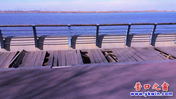 營口遼河好風(fēng)光 破損踏板煞風(fēng)景