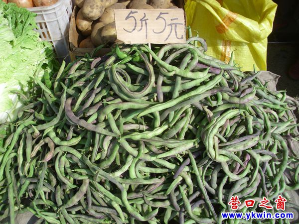 營口今秋蔬菜零售價幾乎與夏天一樣低