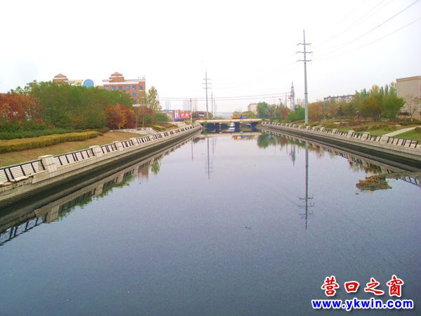 營東新城景觀河已變成了臭水河