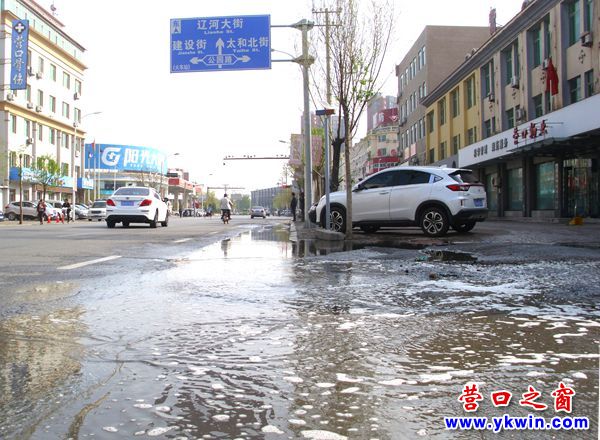 營口市公共汽車公司有點(diǎn)像航運(yùn)公司