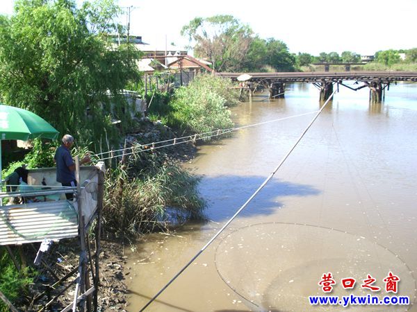 營(yíng)口一景：河邊搭臺(tái) 搬網(wǎng)撈魚(yú)