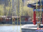 路邊井蓋不翼而飛 居民出門(mén)危險(xiǎn)重重