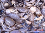 營(yíng)口市一超市門(mén)前驚現(xiàn)騷夾子