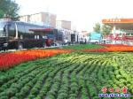 九月營(yíng)口金風(fēng)爽 園丁栽花迎國(guó)慶