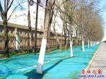 營(yíng)口：防塵網(wǎng)春捂草坪 小草們盼望解放