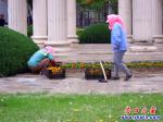 人栽鮮花 天降細(xì)雨