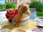 “驢”拉磨呼？磨拉“驢”呼！