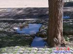 站前區(qū)：下水井蓋冒臟水 臭氣熏天誰(shuí)來(lái)管？