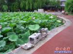 營口楞嚴寺公園部分設(shè)施昨夜遭到人為破壞