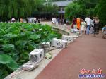 營口楞嚴寺公園荷花湖事件初步調(diào)查結(jié)果