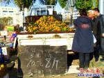 營口今冬水果售價(jià)十分親民