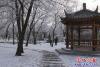 營口出現(xiàn)霧凇美景4
