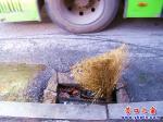 營(yíng)口市2路公交車(chē)國(guó)貿(mào)站下水井欲吞乘客