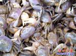 營口市路邊：騷夾子又現(xiàn)身了