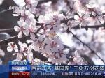 厲害！營口又上央視新聞了