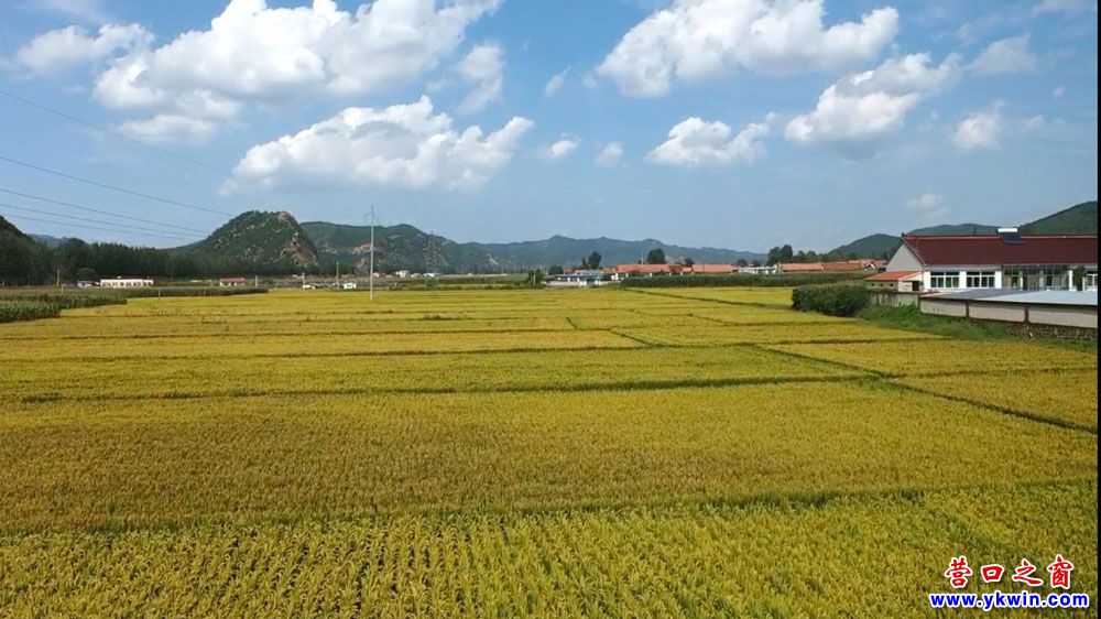 營(yíng)口大石橋市建一鎮(zhèn)路公村