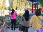 營口楞嚴(yán)寺公園：殘荷美如詩如畫