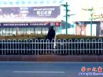 營口市：安上護欄，行人照樣橫穿市府路