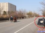 營(yíng)口市：路燈倒在路邊存在安全隱患
