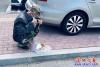 暖心！警車護送老人回家2
