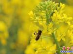 何必去遠(yuǎn)方！營口竟藏著小婺源