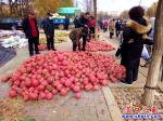 營(yíng)口大菜市圓滿落幕 主角零售價(jià)一路下滑